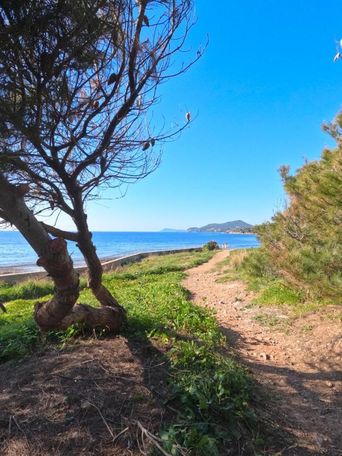 Appartement Hyeres - Costebelle Duplex Vue Mer Balcon Residence Privee Parking - Marie Caroline Eksteriør billede