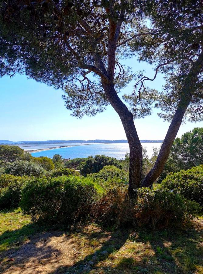 Appartement Hyeres - Costebelle Duplex Vue Mer Balcon Residence Privee Parking - Marie Caroline Eksteriør billede